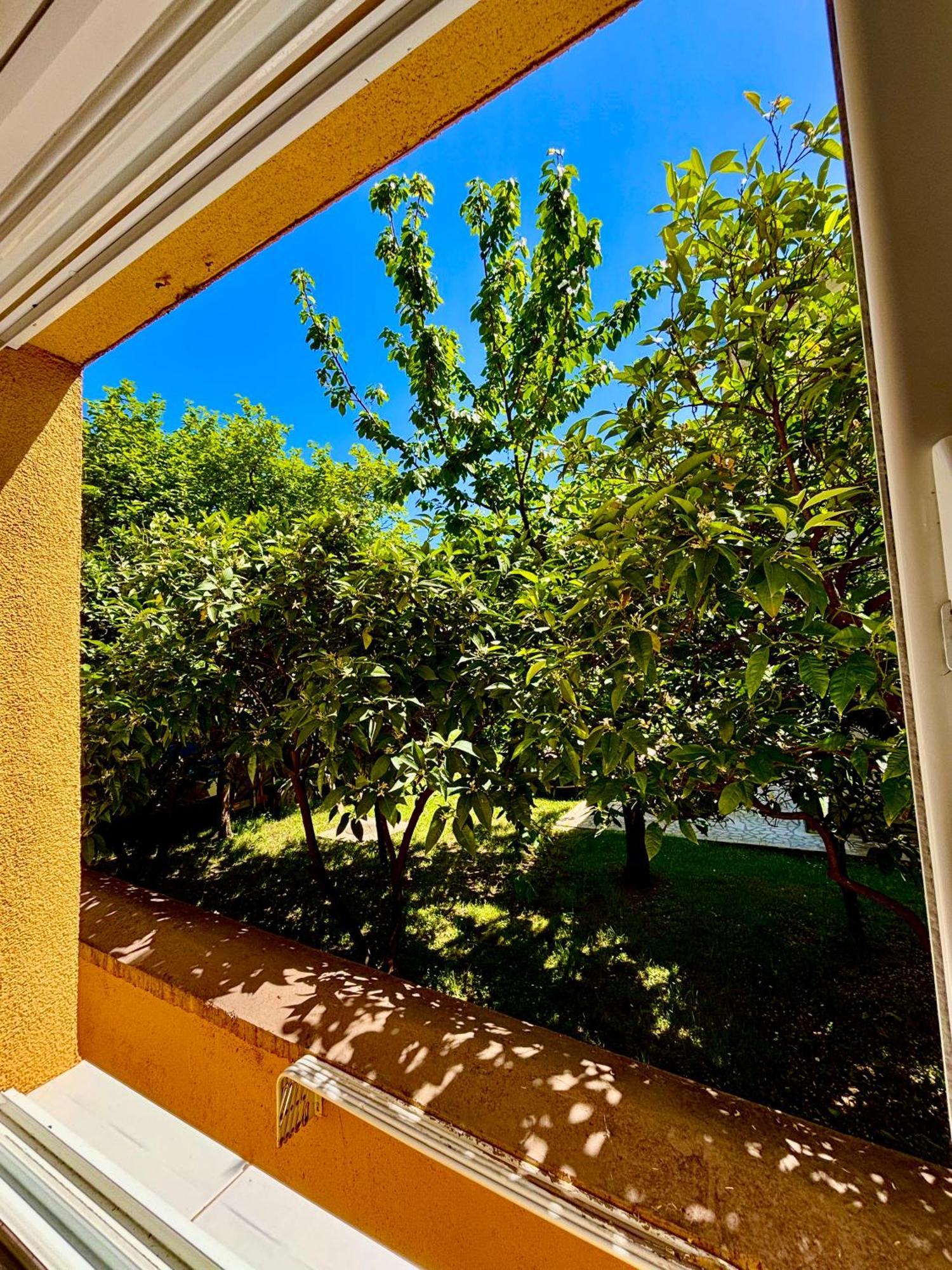 Apartments Ds Club Budva Dış mekan fotoğraf
